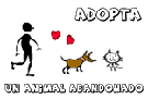 puedes adoptar un perro en www.acogelos.org