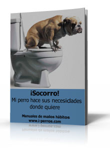 Socorro, mi perro hace sus necesidades donde quiere