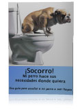 "�Socorro! mi perro hace sus necesidades donde quiere"