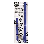 Collar con correa para cachorro