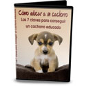 Educa a tu cachorro
