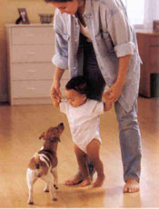 Niño pequeño con perro