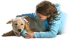 Perro masticando Kong