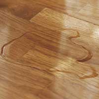 Ya no habrá más incidentes