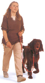 perro anda con correa