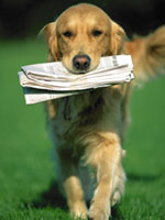 perro con el periódico