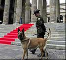 perro policia en colombia