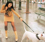 Perro tira de la correa