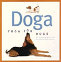 Doga: yoga para perros