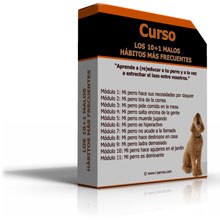 Curso los 10+1 malos h?bitos m?s frecuentes